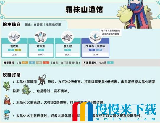 宝可梦朱紫道馆队伍怎么配置 全道馆打法攻略