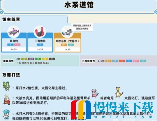 宝可梦朱紫道馆队伍怎么配置 全道馆打法攻略