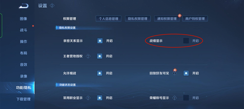 王者荣耀怎么设置战绩别人看不见