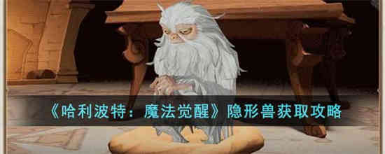 哈利波特魔法觉醒12月神奇动物隐形兽怎么获取